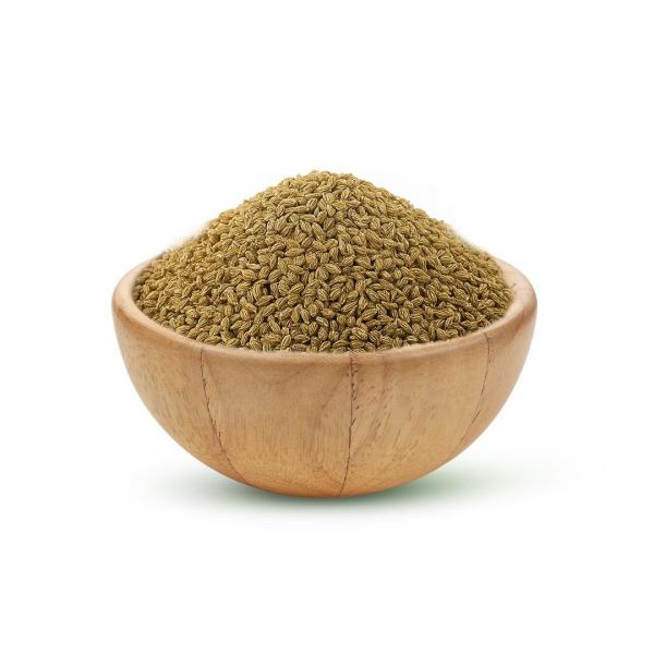 بذر كرفس